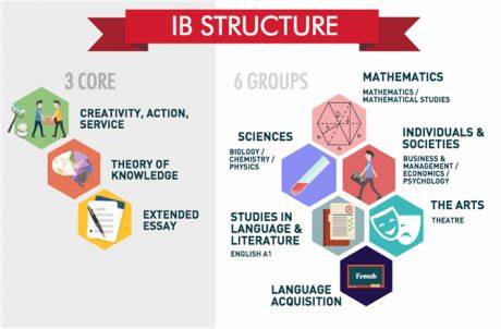 各大熱門IB科目?jī)?nèi)容及特點(diǎn)解析，哪個(gè)7分率更高？