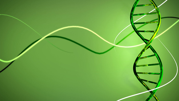 ib生物輔導:帶你來解析水在生物學中的應用!