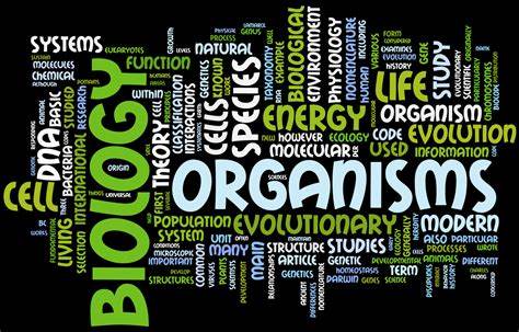 生物IB輔導：如何有技巧的去學習？