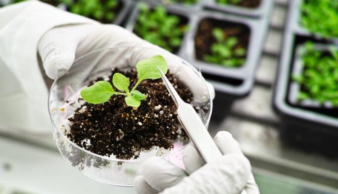 IB生物考試實(shí)驗(yàn)題部分該注意什么？