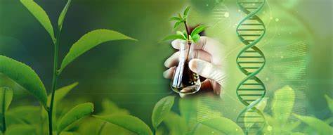 IB生物考試內(nèi)容解析，主要涉及哪些知識點？