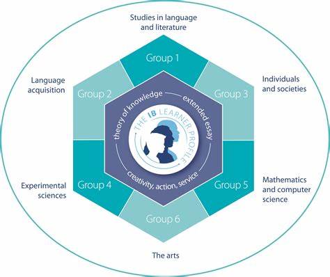 不同專業(yè)ib選課怎么選?這些選課方案可以參考