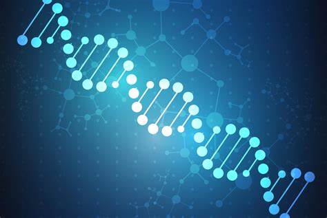 IB生物考點內容總結，如何考核？