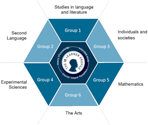 各ib選課模塊課程選擇指導,需要怎么考量?